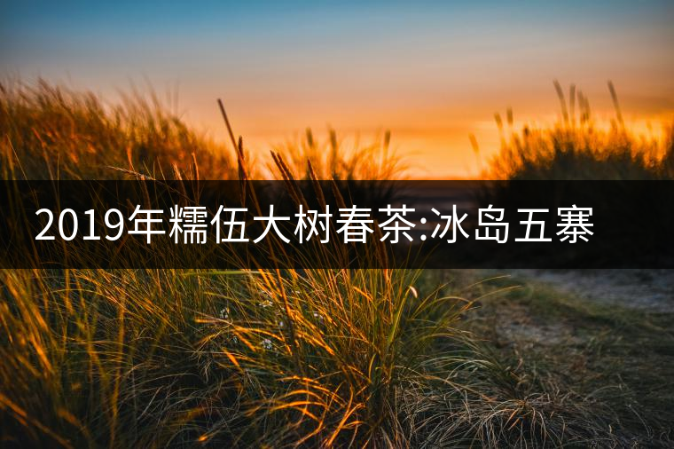2019年糯伍大樹春茶:冰島五寨甜柔口感的代表，售價不...2019年糯伍大樹春茶：冰島五寨甜柔口感的代表，售價不到500