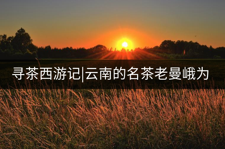 尋茶西游記|云南的名茶老曼峨為什么這么多人愛(ài)，這里...尋茶西游記｜云南的名茶老曼峨為什么這么多人愛(ài)，這里給你答案！