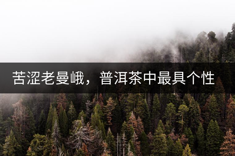 苦澀老曼峨，普洱茶中最具個(gè)性的“布朗味”苦澀老曼峨，普洱茶中最具個(gè)性的“布朗味”