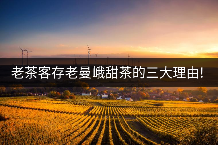 老茶客存老曼峨甜茶的三大理由!老茶客存老曼峨甜茶的三大理由！