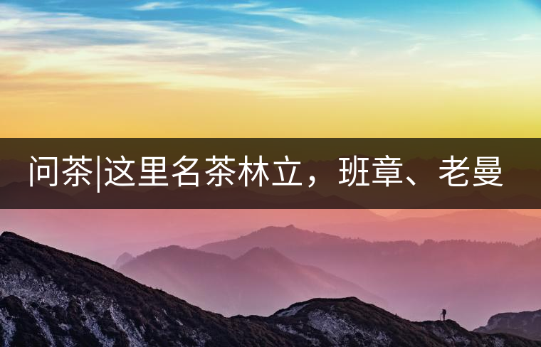 問茶|這里名茶林立，班章、老曼峨皆在其列!問茶｜這里名茶林立，班章、老曼峨皆在其列！