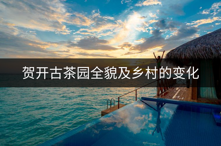 賀開(kāi)古茶園全貌及鄉(xiāng)村的變化