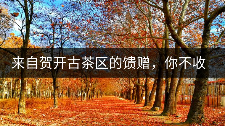 來(lái)自賀開(kāi)古茶區(qū)的饋贈(zèng)，你不收一波嗎?來(lái)自賀開(kāi)古茶區(qū)的饋贈(zèng)，你不收一波嗎？