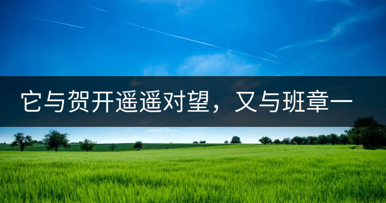 它與賀開遙遙對望，又與班章一衣帶水，它是班盆古樹春尖它與賀開遙遙對望，又與班章一衣帶水，它是班盆古樹春尖