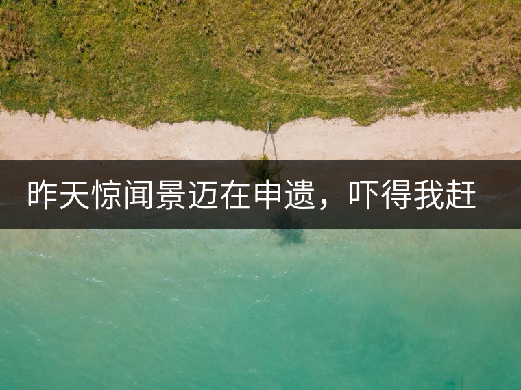 昨天驚聞景邁在申遺，嚇得我趕緊拿出景邁茶……昨天驚聞景邁在申遺，嚇得我趕緊拿出景邁茶……