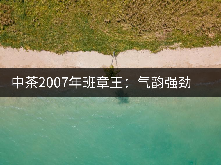 中茶2007年班章王：氣韻強(qiáng)勁，蜂蜜水般甜潤(rùn)，一直被老茶客撿漏