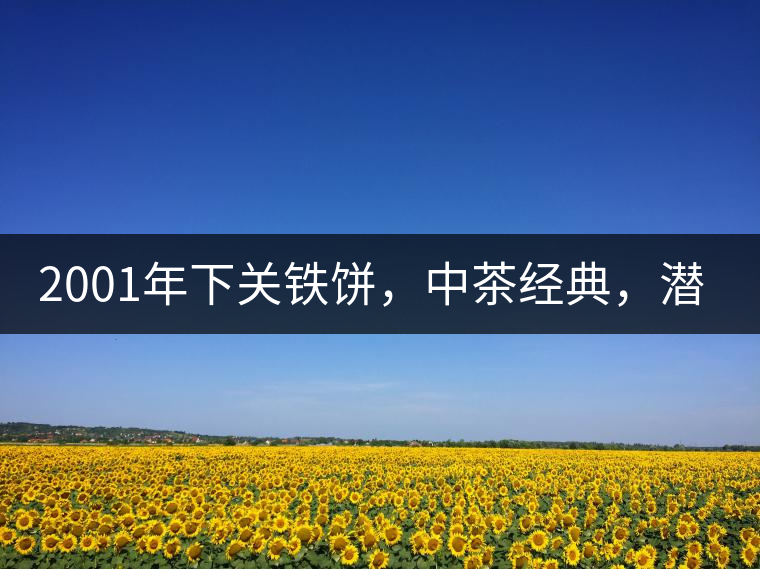 2001年下關(guān)鐵餅，中茶經(jīng)典，潛力可期!