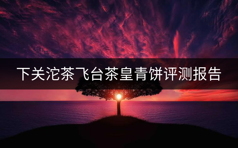 下關(guān)沱茶飛臺(tái)茶皇青餅評(píng)測報(bào)告 下關(guān)沱茶飛臺(tái)茶皇青餅評(píng)測報(bào)告