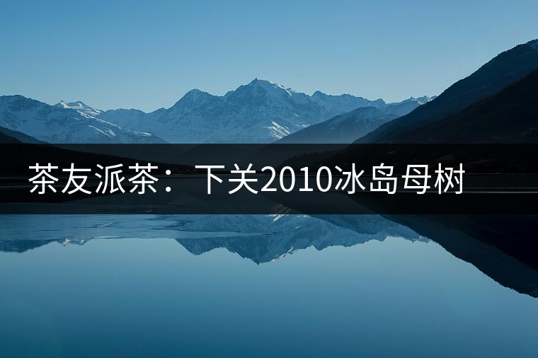 茶友派茶：下關(guān)2010冰島母樹，挺甜的，母樹是個什么概念？