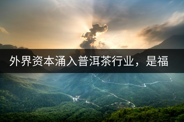 外界資本涌入普洱茶行業(yè)，是福還是禍？