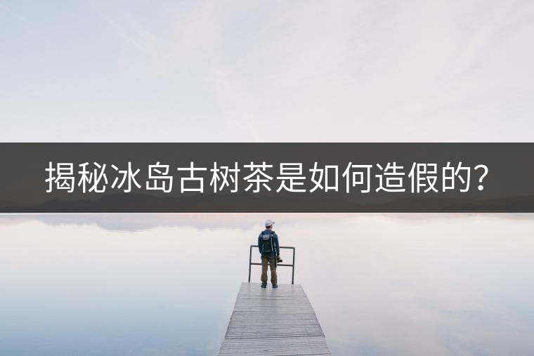 揭秘冰島古樹茶是如何造假的？