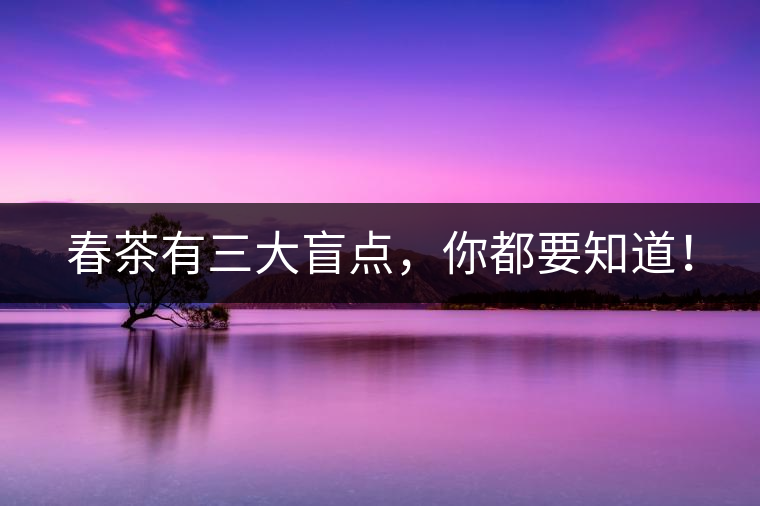春茶有三大盲點，你都要知道！