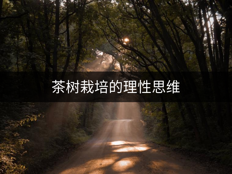 茶樹栽培的理性思維
