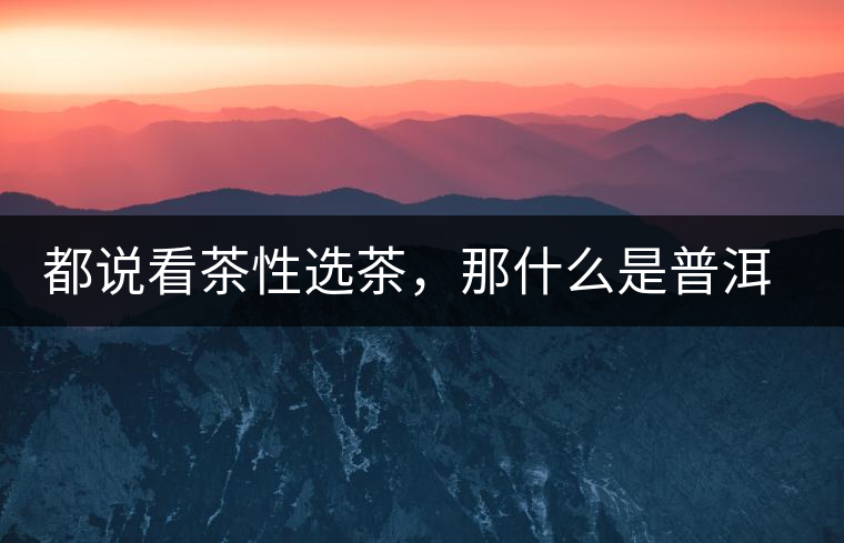 都說看茶性選茶，那什么是普洱茶的“茶性”呢？