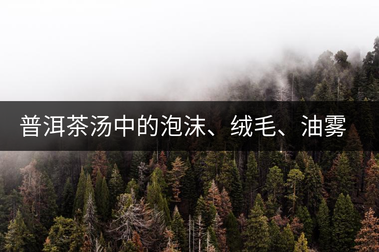 普洱茶湯中的泡沫、絨毛、油霧、絮狀物……原來是這些東西！
