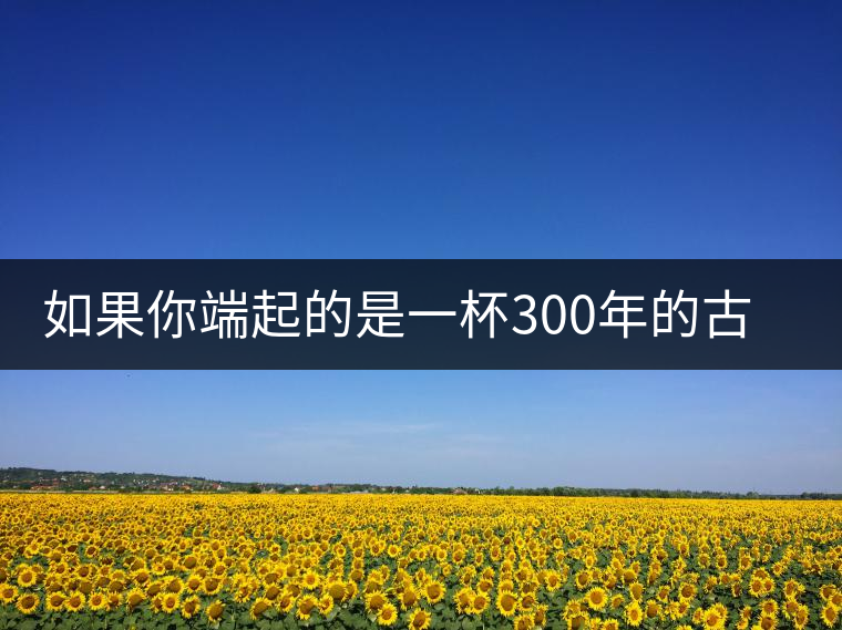 如果你端起的是一杯300年的古樹茶，那會是一種怎樣的心境？