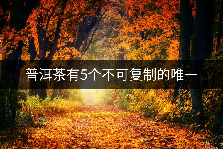 普洱茶有5個不可復(fù)制的唯一