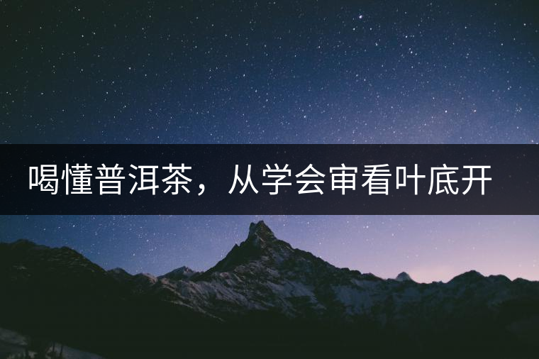 喝懂普洱茶，從學會審看葉底開始