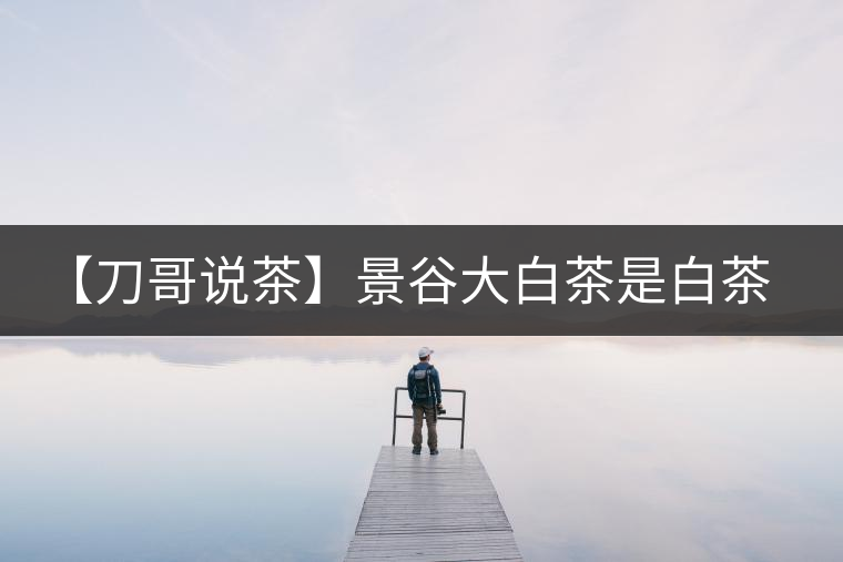 【刀哥說茶】景谷大白茶是白茶還是普洱茶？