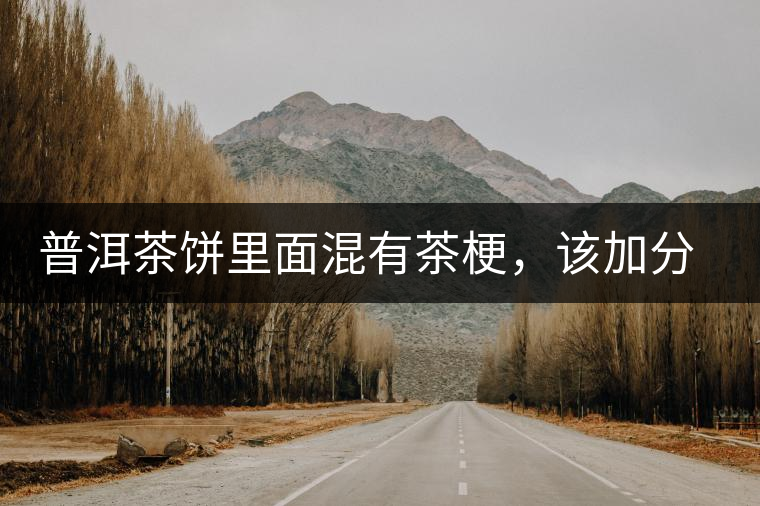 普洱茶餅里面混有茶梗，該加分還是減分？