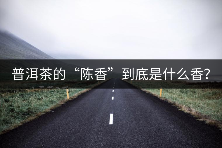 普洱茶的“陳香”到底是什么香？