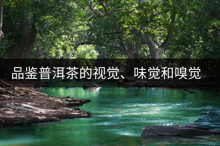 品鑒普洱茶的視覺、味覺和嗅覺指標(biāo)