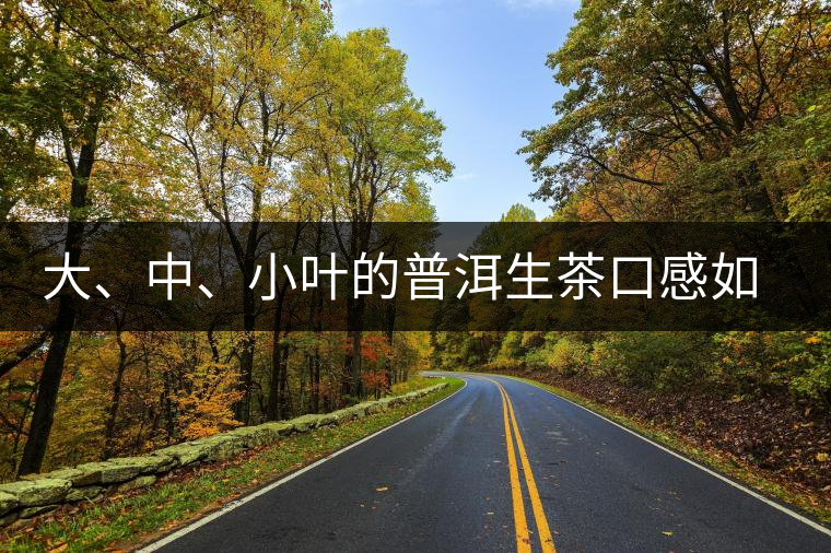 大、中、小葉的普洱生茶口感如何辨別？