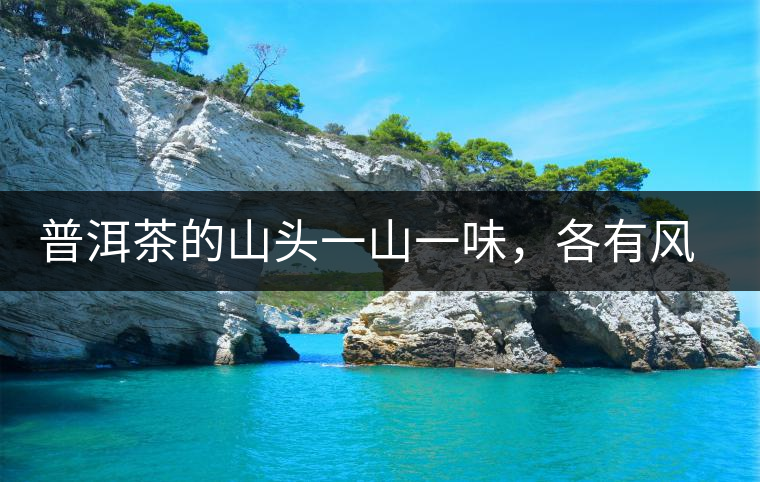 普洱茶的山頭一山一味，各有風(fēng)格