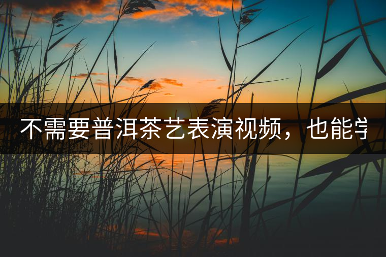 不需要普洱茶藝表演視頻，也能學會的茶藝！