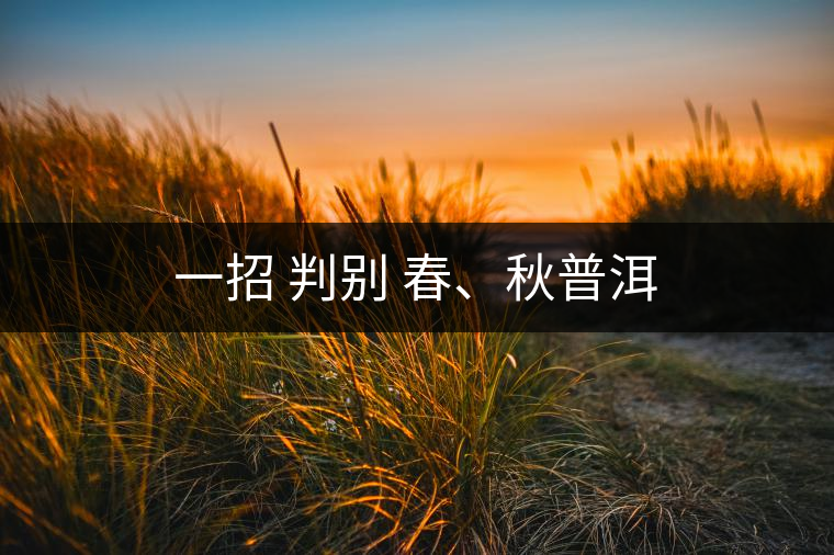 一招 判別 春、秋普洱