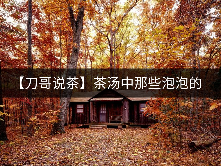 【刀哥說茶】茶湯中那些泡泡的始作俑者,茶皂素只是其中一個 【刀哥說茶】茶湯中那些泡泡的始作俑者,茶皂素只是其中一個