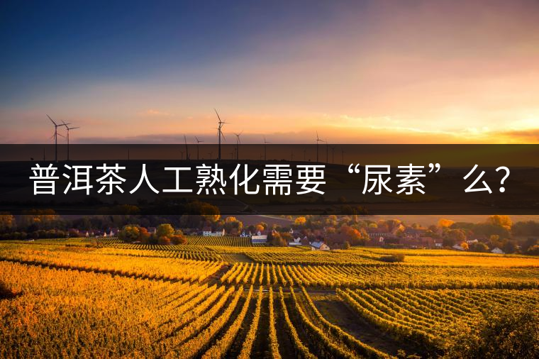 普洱茶人工熟化需要“尿素”么？