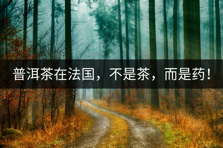 普洱茶在法國，不是茶，而是藥！