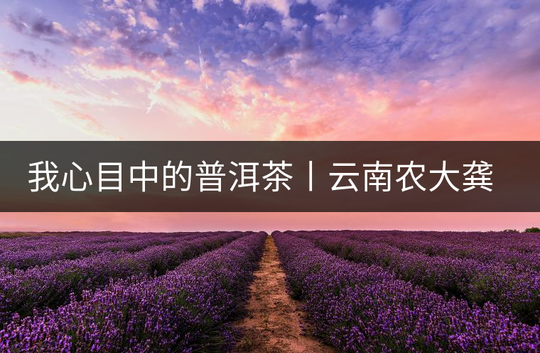 我心目中的普洱茶丨云南農大龔加順教授解密普洱熟茶 我心目中的普洱茶丨云南農大龔加順教授解密普洱熟茶