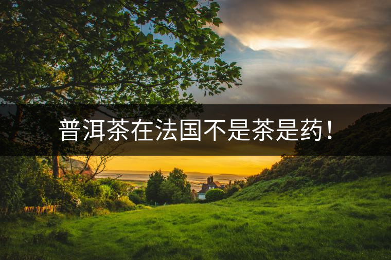 普洱茶在法國(guó)不是茶是藥！