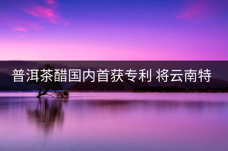 普洱茶醋國(guó)內(nèi)首獲專利 將云南特色推往全國(guó)各地 普洱茶醋國(guó)內(nèi)首獲專利 將云南特色推往全國(guó)各地
