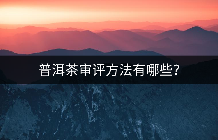 普洱茶審評方法有哪些？