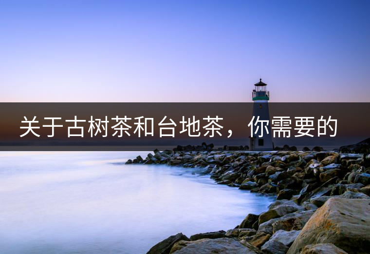 關(guān)于古樹茶和臺(tái)地茶，你需要的知識(shí)全在這里了