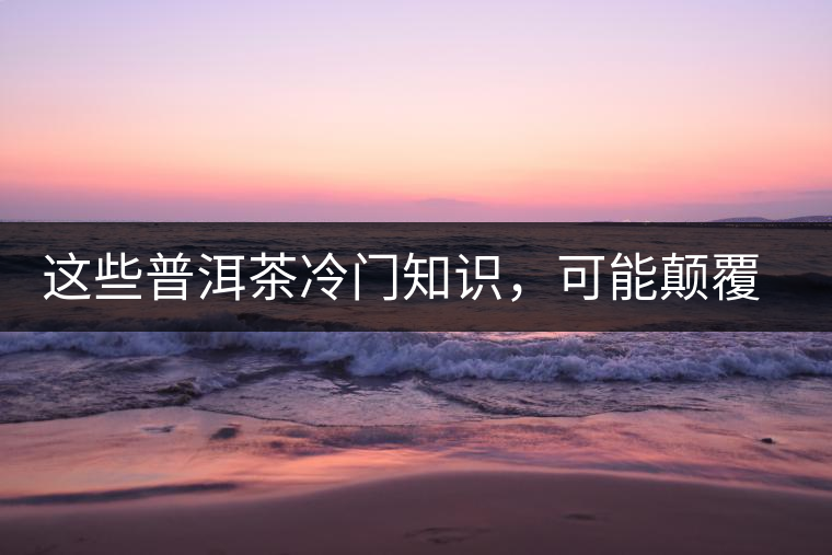 這些普洱茶冷門知識，可能顛覆你對普洱茶的認知