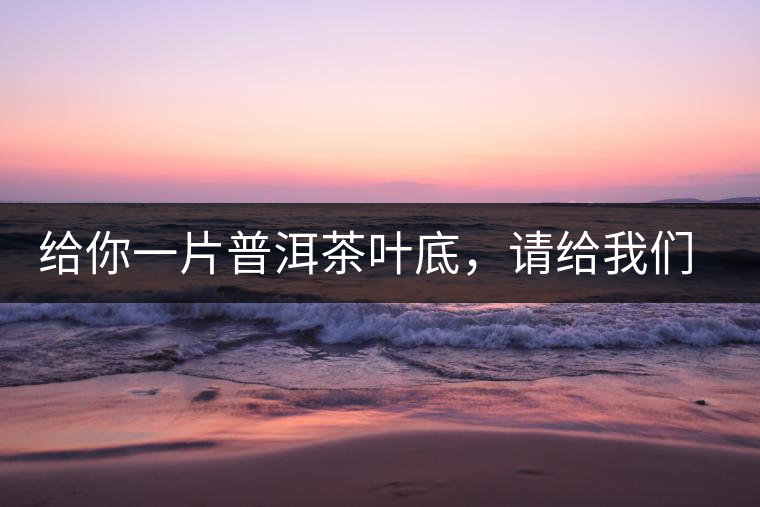 給你一片普洱茶葉底，請(qǐng)給我們聊聊它的生態(tài)和樹齡