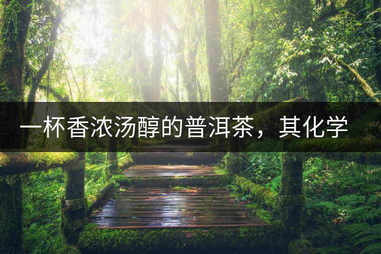 一杯香濃湯醇的普洱茶，其化學(xué)成分是怎樣的？
