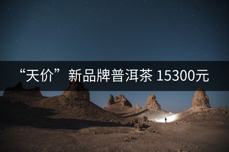 “天價(jià)”新品牌普洱茶 15300元/餅！