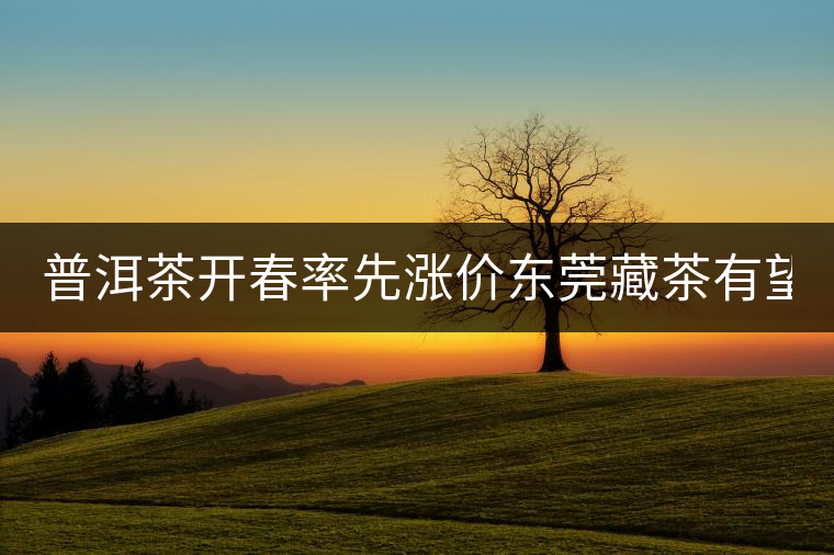 普洱茶開春率先漲價(jià)東莞藏茶有望“開倉” 普洱茶開春率先漲價(jià)東莞藏茶有望“開倉”