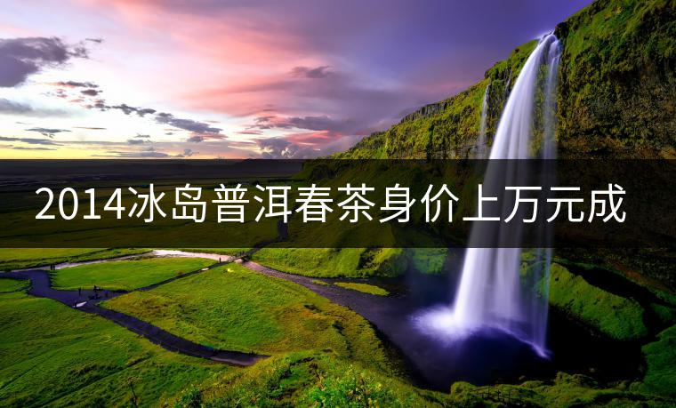 2014冰島普洱春茶身價(jià)上萬元成“新貴”