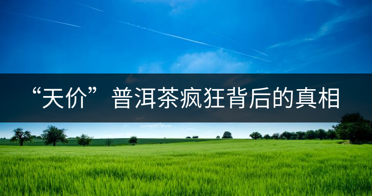 “天價”普洱茶瘋狂背后的真相 “天價”普洱茶瘋狂背后的真相