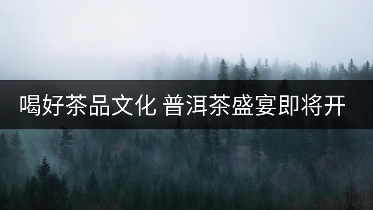 喝好茶品文化 普洱茶盛宴即將開(kāi)場(chǎng)