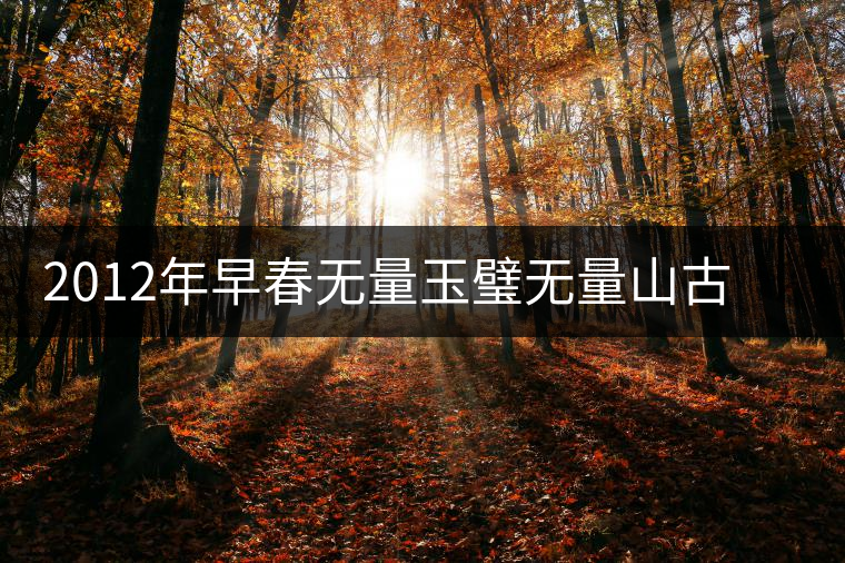 2012年早春無(wú)量玉璧無(wú)量山古樹純料普洱茶生茶餅