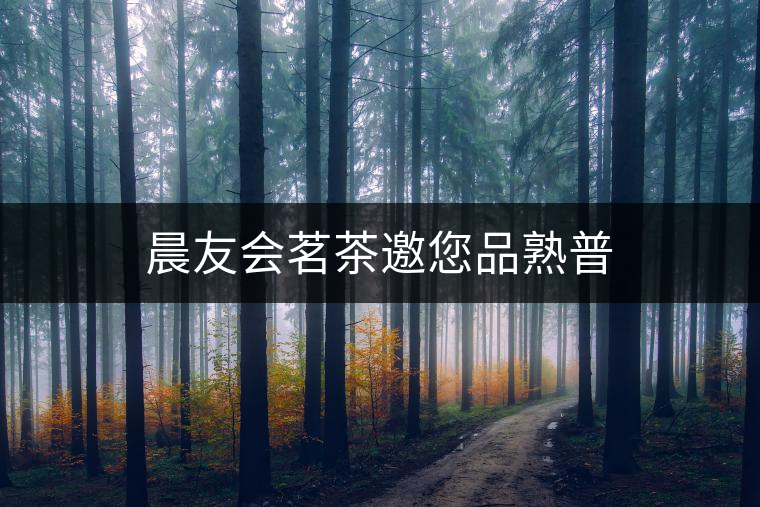 晨友會茗茶邀您品熟普