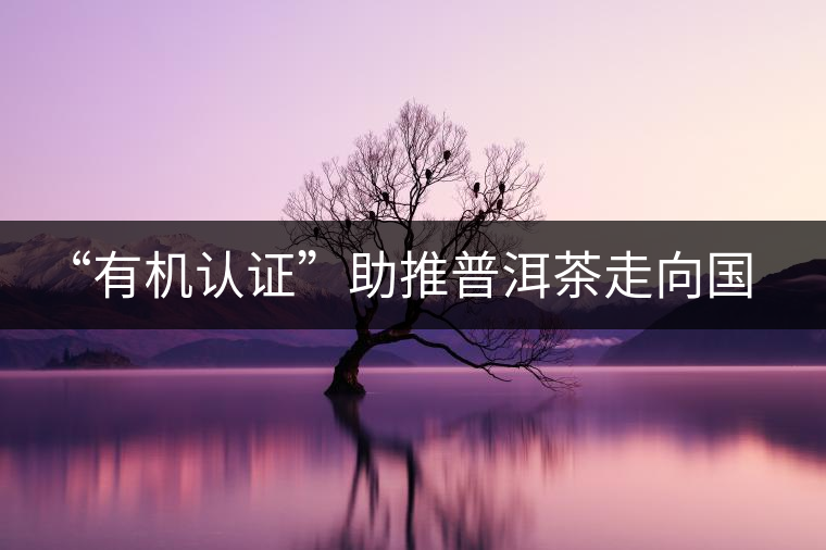 “有機(jī)認(rèn)證”助推普洱茶走向國際 “有機(jī)認(rèn)證”助推普洱茶走向國際