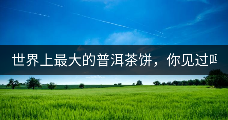 世界上最大的普洱茶餅，你見過嗎？